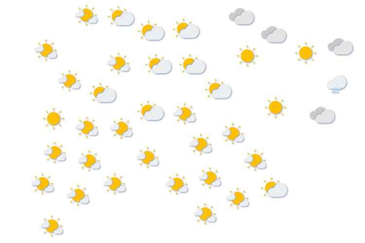 Forecast