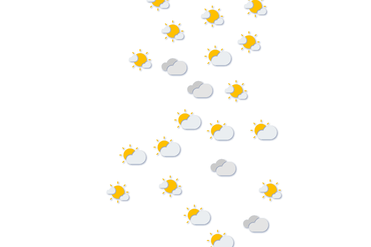 Forecast