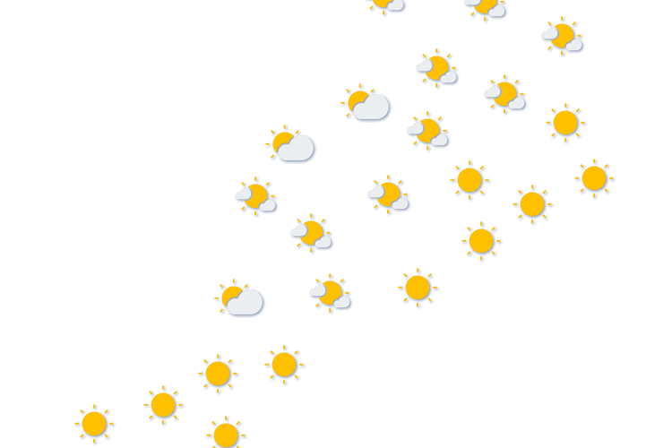Forecast