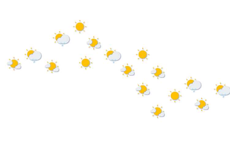 Forecast