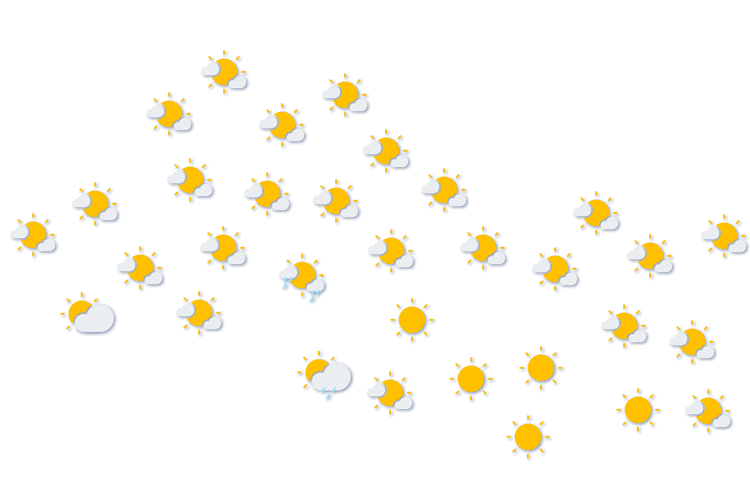 Forecast