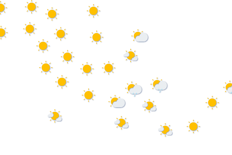 Forecast