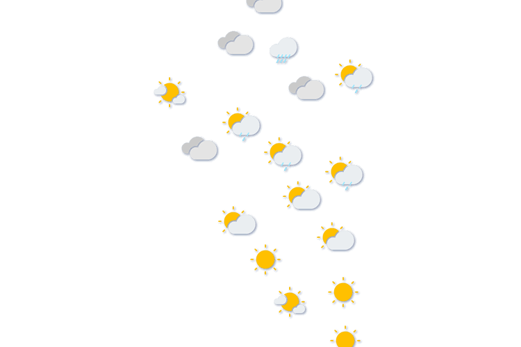 Forecast