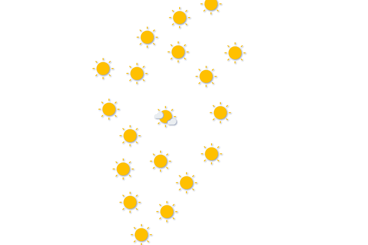 Forecast