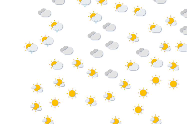 Forecast