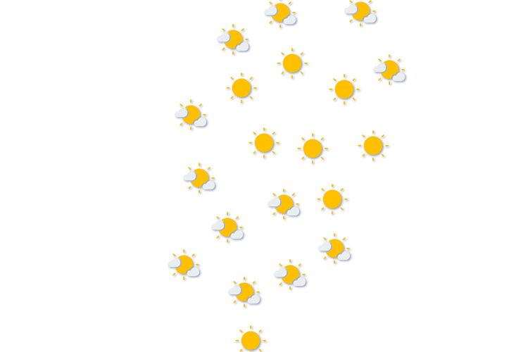 Forecast