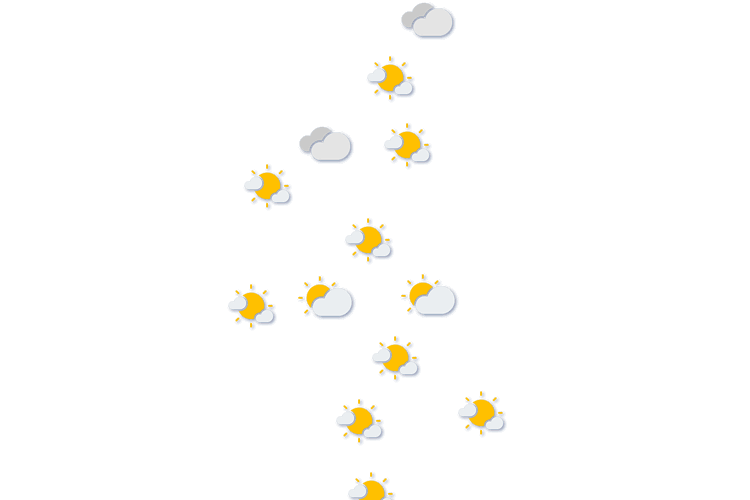 Forecast