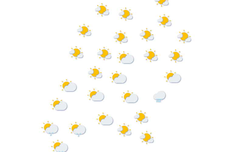 Forecast
