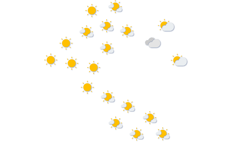 Forecast