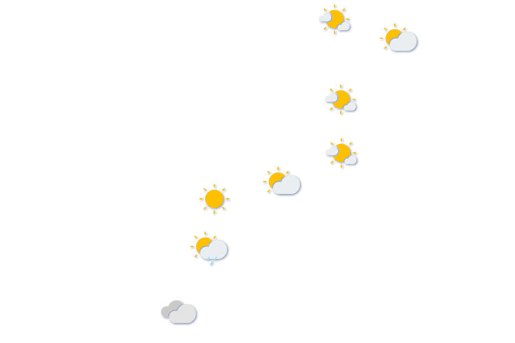 Forecast