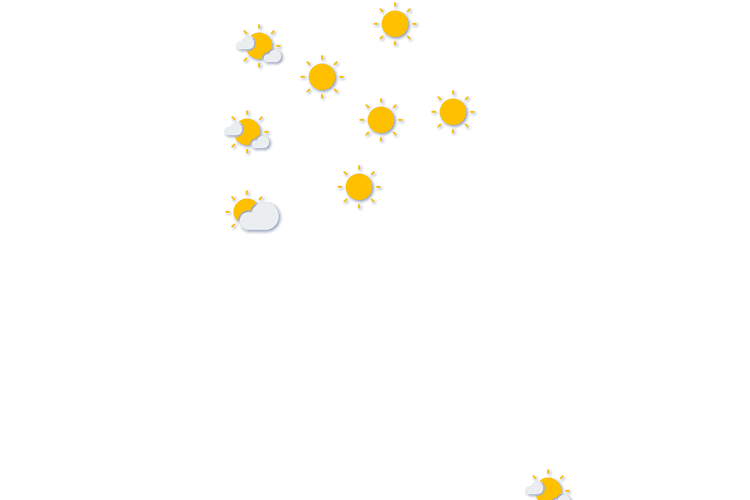 Forecast