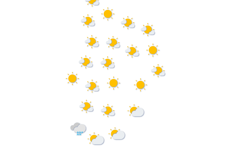 Forecast