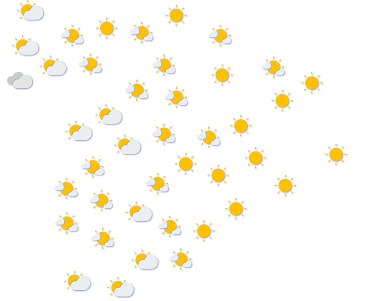 Forecast