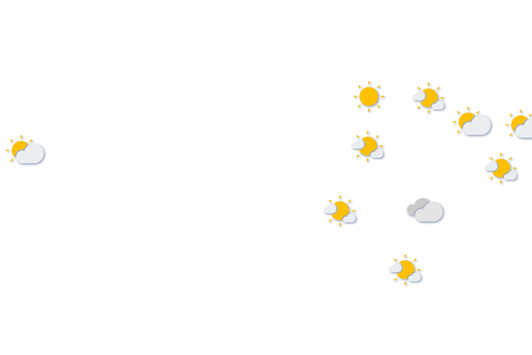 Forecast