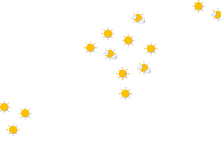 Forecast