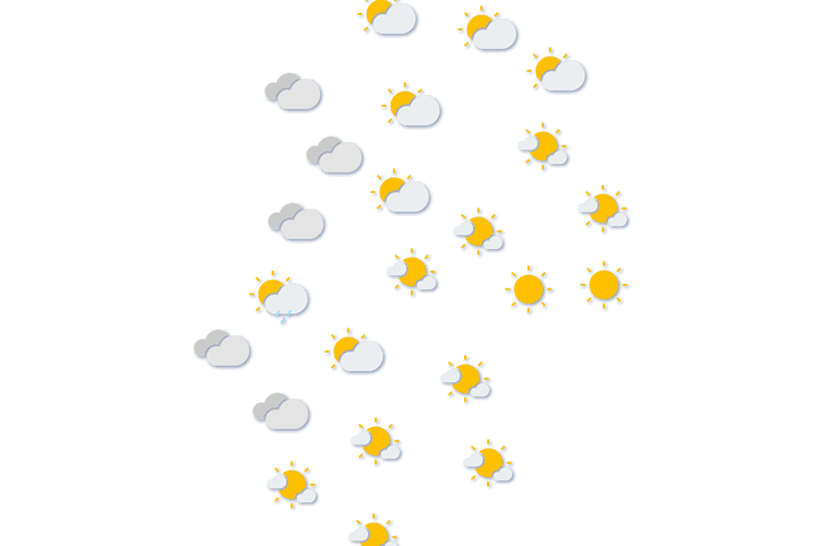 Forecast
