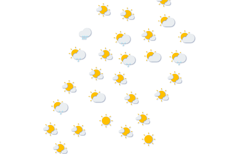 Forecast