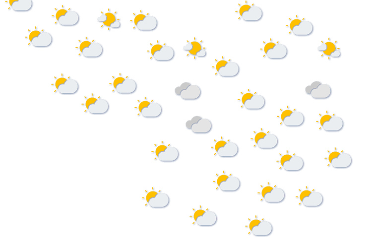 Forecast
