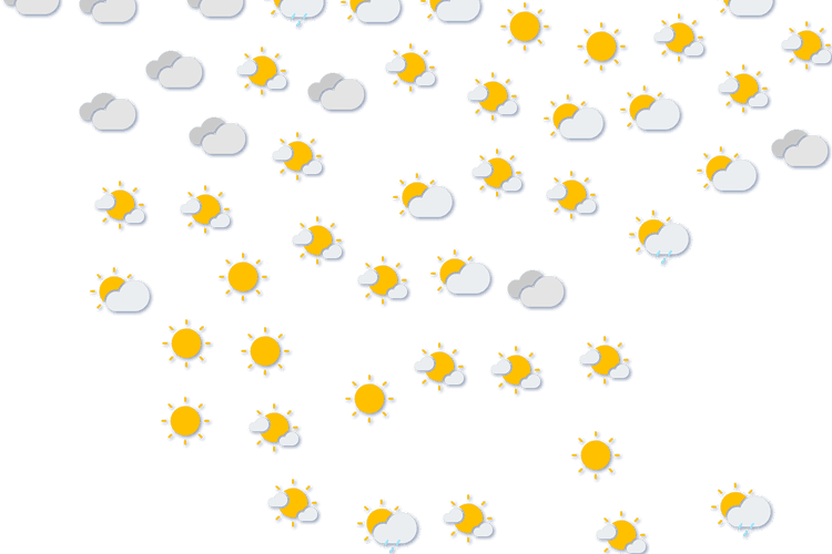 Forecast