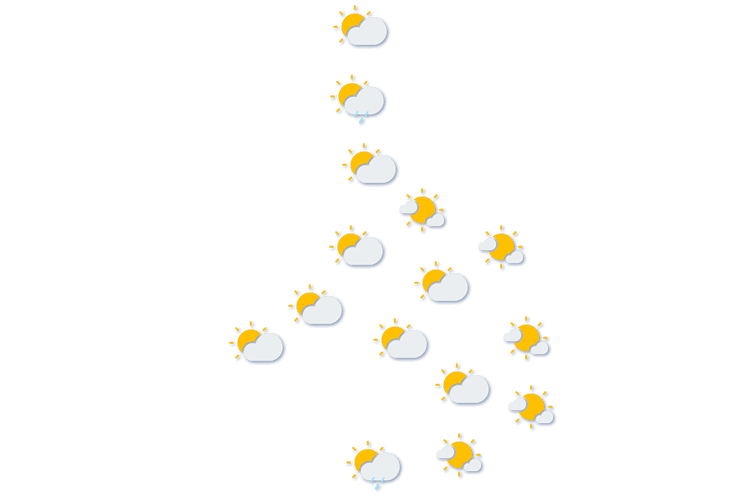 Forecast