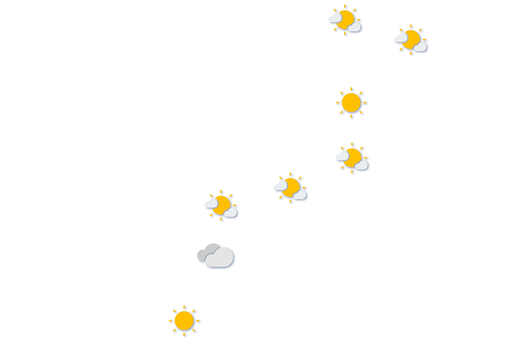 Forecast