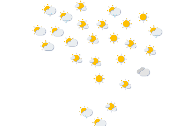 Forecast