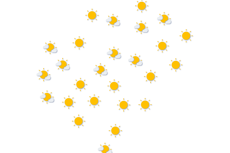 Forecast