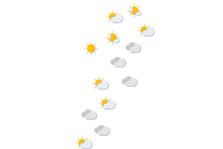 Forecast