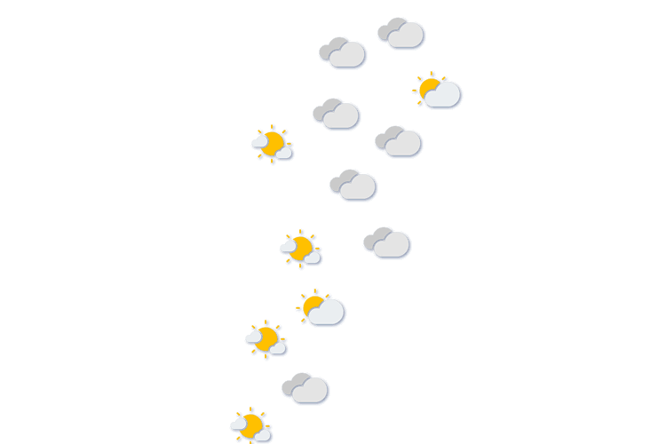 Forecast