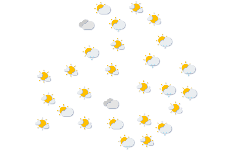 Forecast