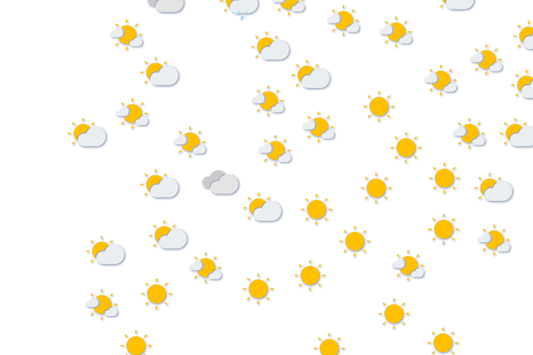 Forecast