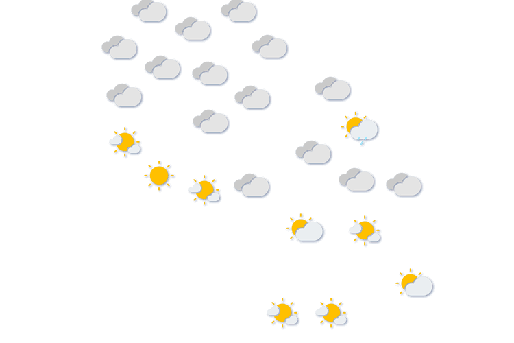 Forecast