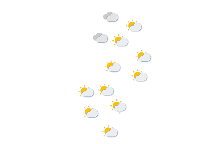 Forecast