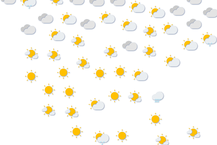 Forecast