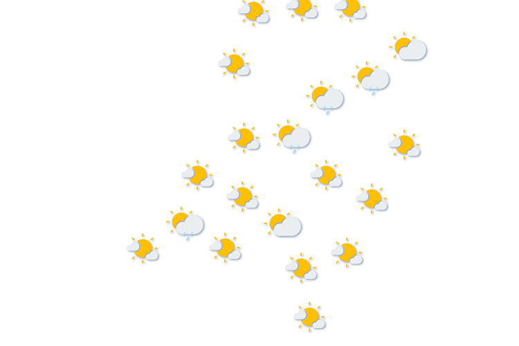 Forecast