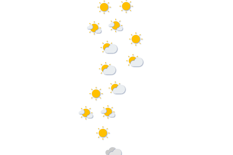 Forecast