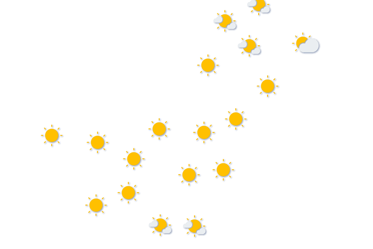 Forecast