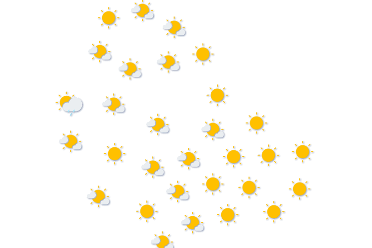 Forecast