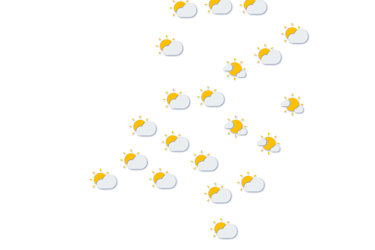 Forecast