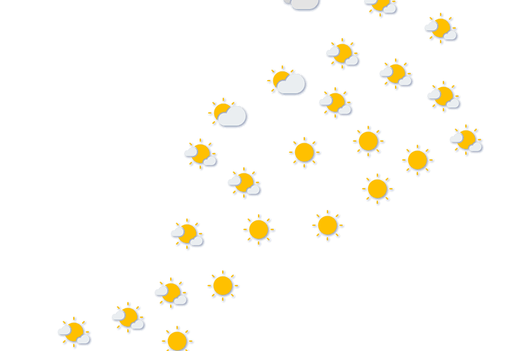Forecast