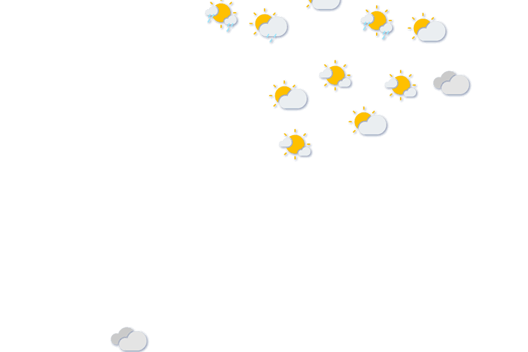 Forecast