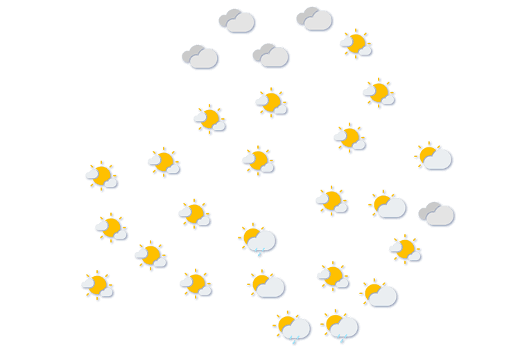 Forecast