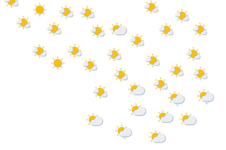 Forecast