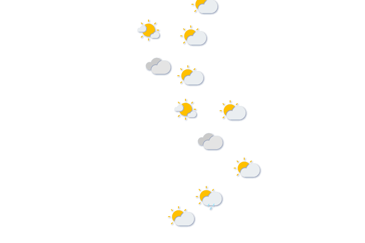 Forecast