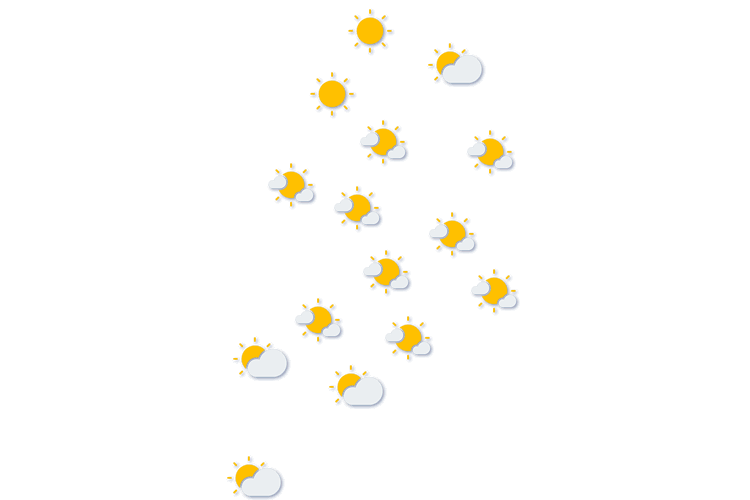 Forecast
