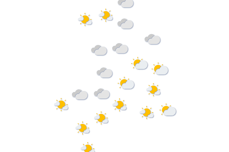 Forecast