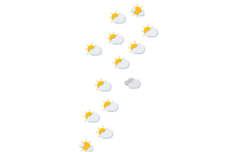 Forecast