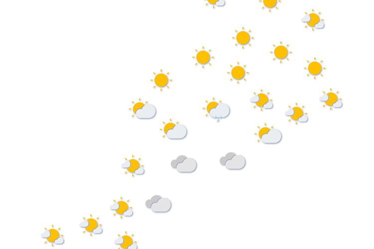 Forecast