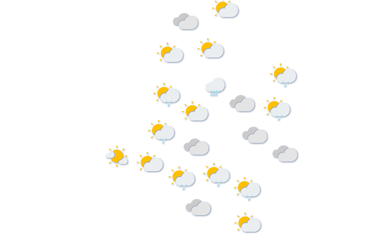Forecast