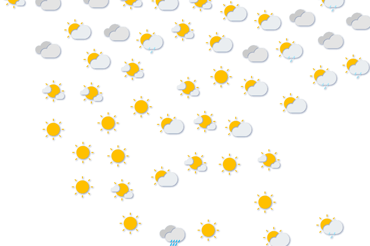 Forecast